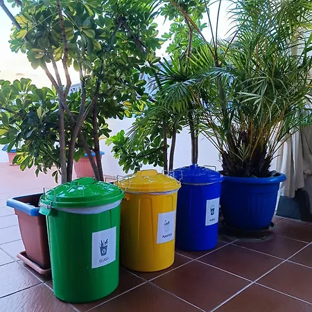 El Perenquen *
