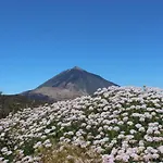 El Perenquen *