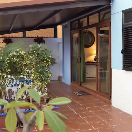 El Perenquen * 圣克鲁斯-德特内里费