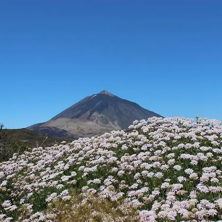 El Perenquen *