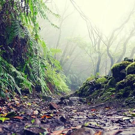 El Perenquen 아파트 산타크루스데 테네리페