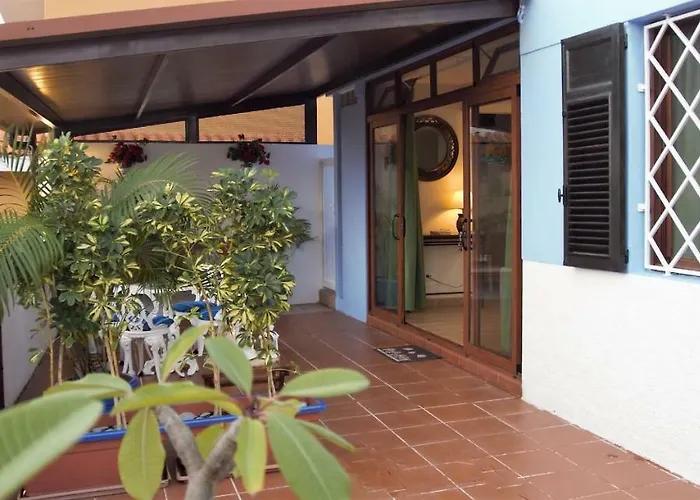 El Perenquen * سانتا كروز دي تينيريف