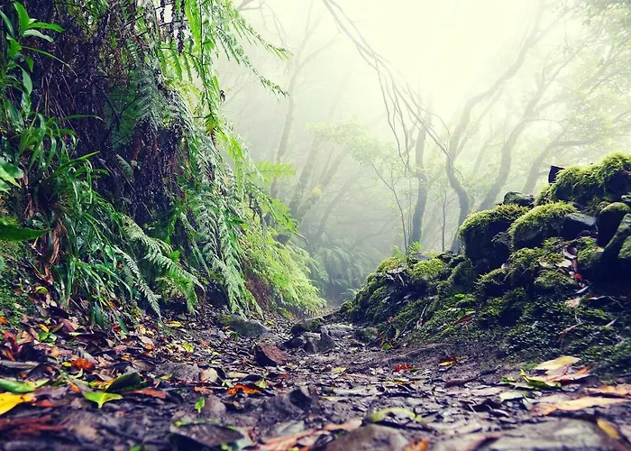 El Perenquen Appartement Santa-Cruz de Ténérife