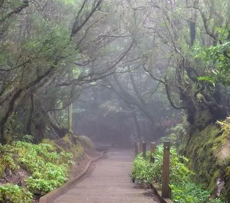 דירה El Perenquen